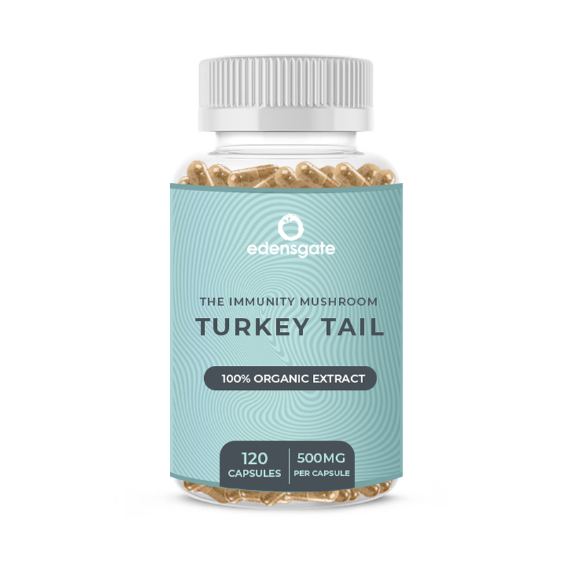 Turkey Tail Mushroom Capsules 120