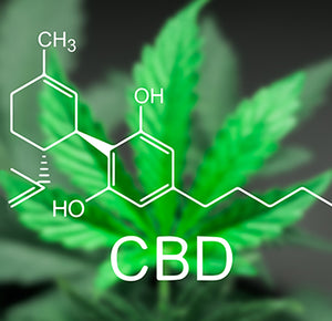 Does CBD Cause Cannabinoid Hyperemesis Syndrome (CHS)?