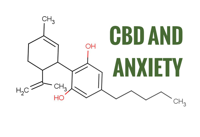 6 Everyday Anxieties CBD Can Soothe