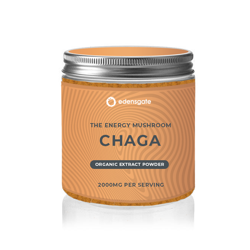 Chaga mushroom powder