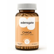Chaga Mushroom Capsules - 120