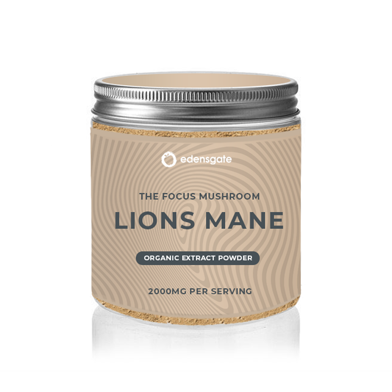 Lions Mane Powder