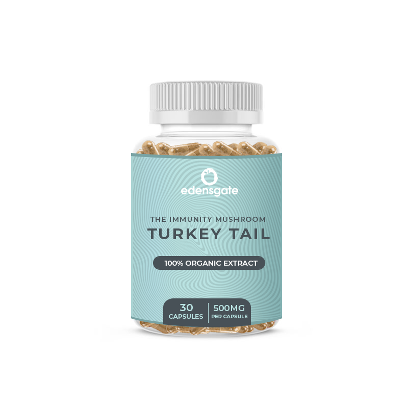 Turkey Tail Mushroom Capsules - 30