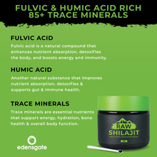 fulvic acid and trace minerals